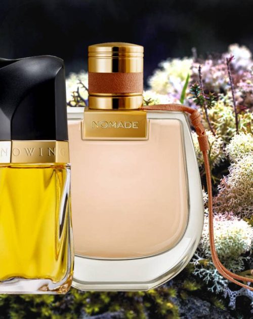 Woody and Chypre Fragrances